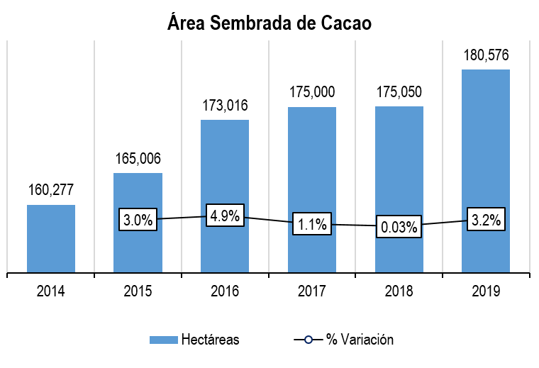 Area Sembrada De Cacao 20191226