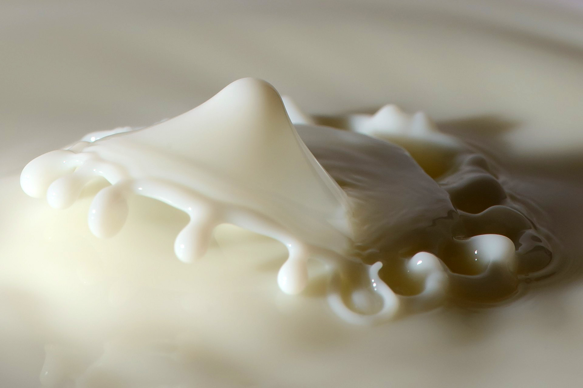 Milk Splash Close Up