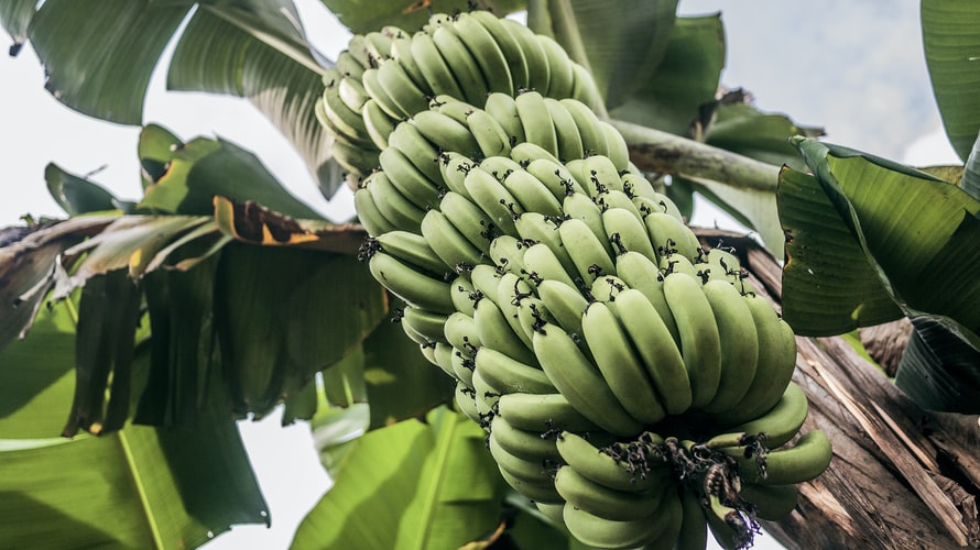 Photo 1550824605 Aae0f042831e 1