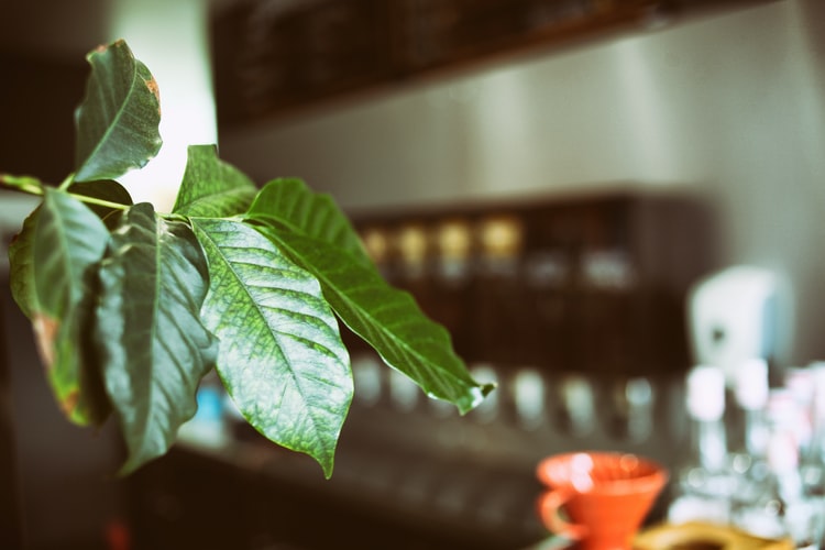 Photo 1626229185510 2f22a7c5c57a