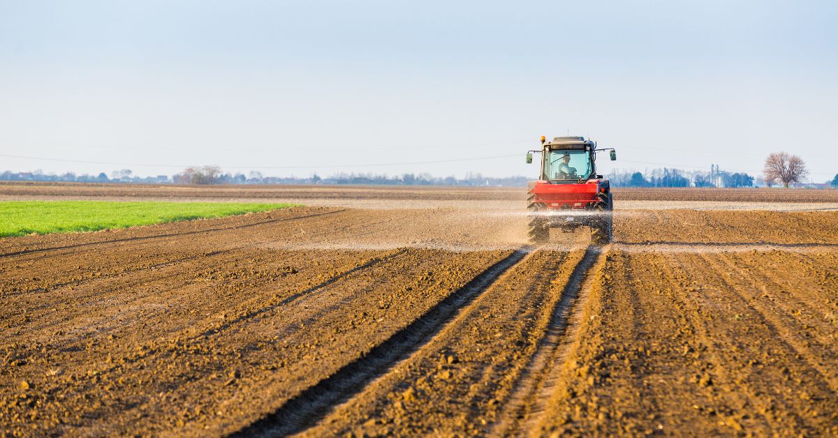 En Colombia Los Fertilizantes
