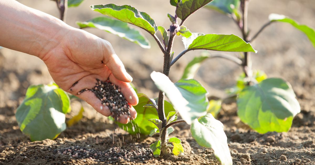 Fertilizantes Alimentaria