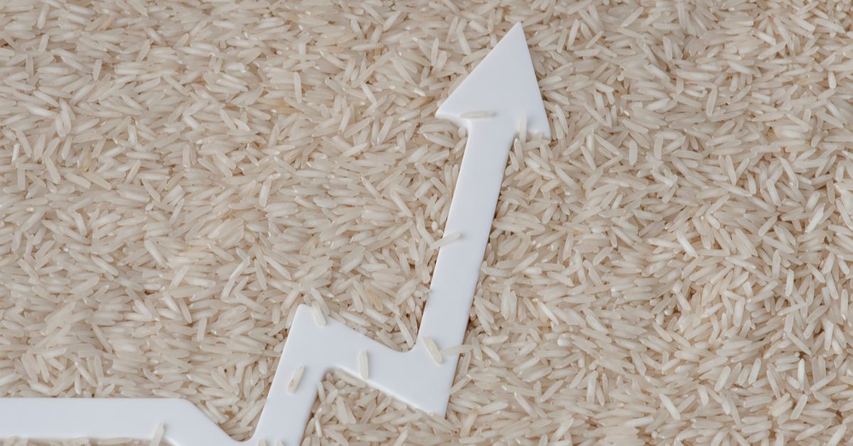 Precio Del Arroz Cerró El 2022