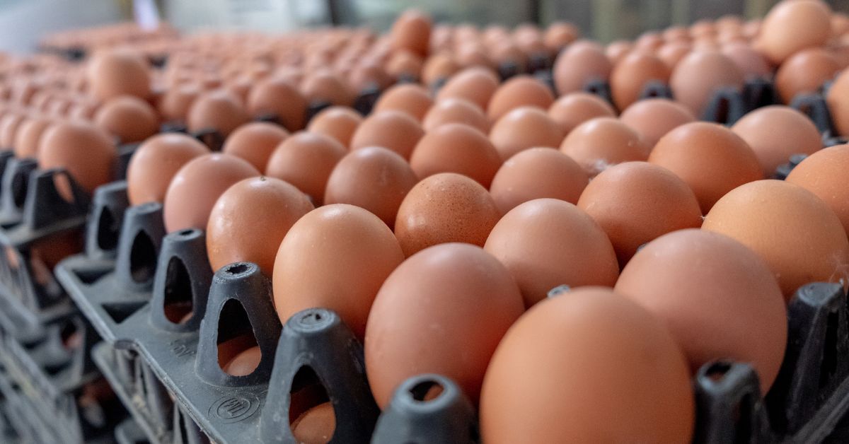 Producción Nacional De Huevo