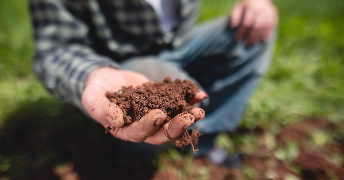 Fertilizantes Tierra