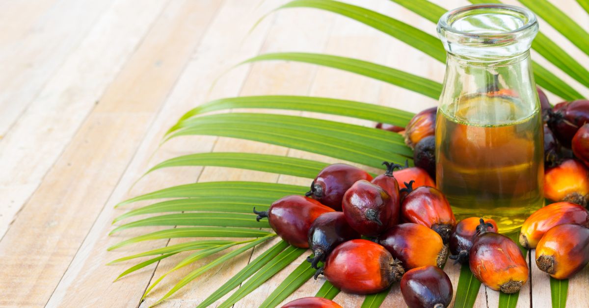 Aceite Palma Verde