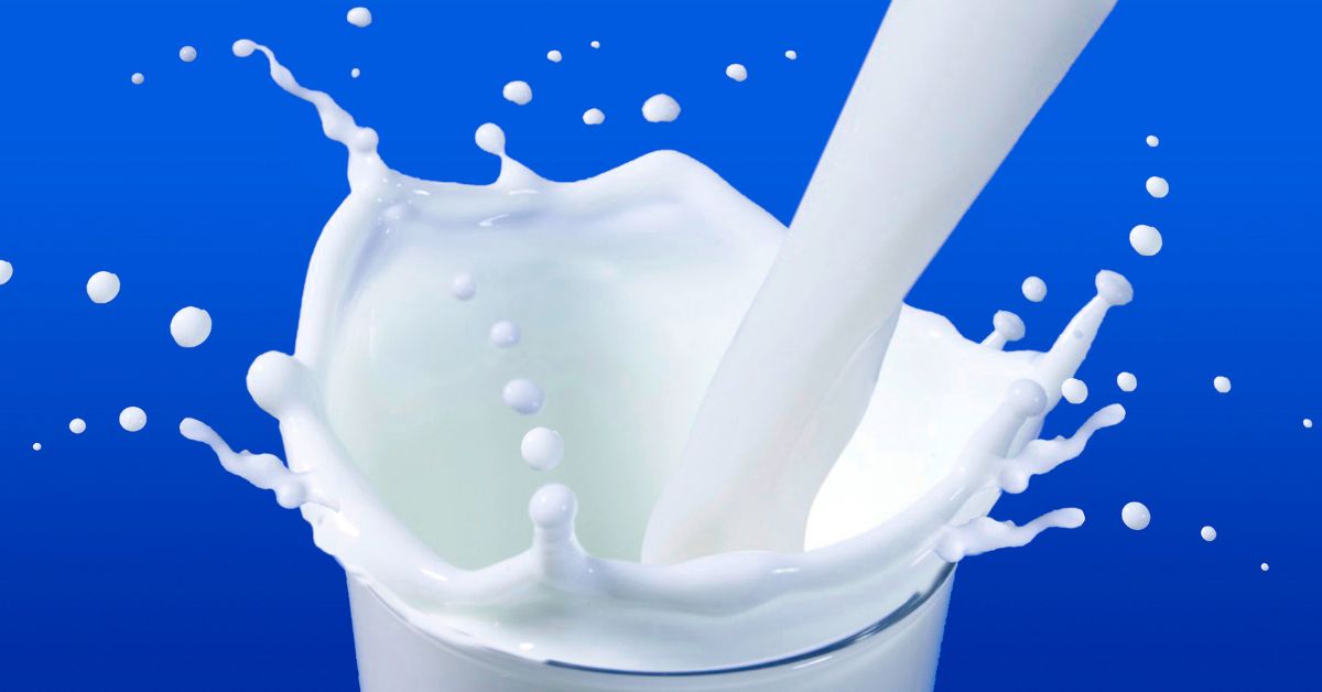 Litros De Leche Perdidas