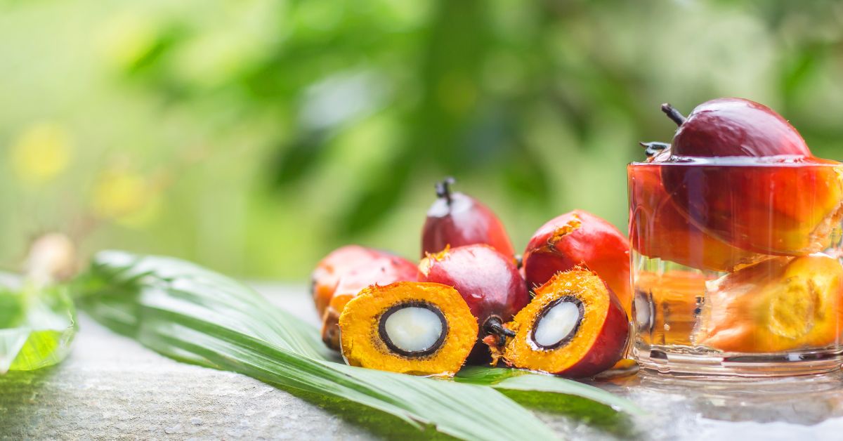 Aceite Palma Pasiaje