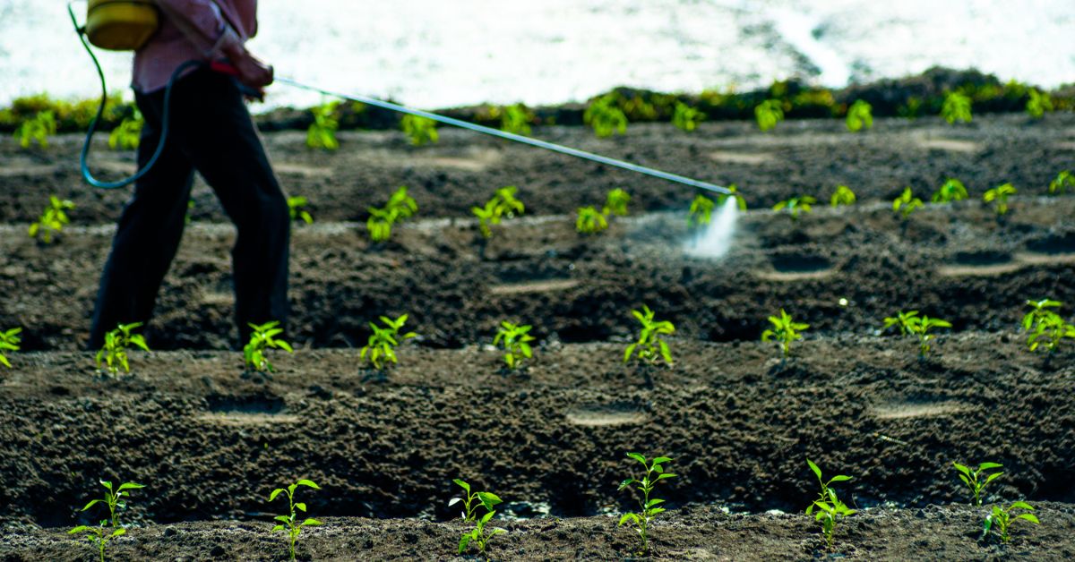 Fertilizante Plantas