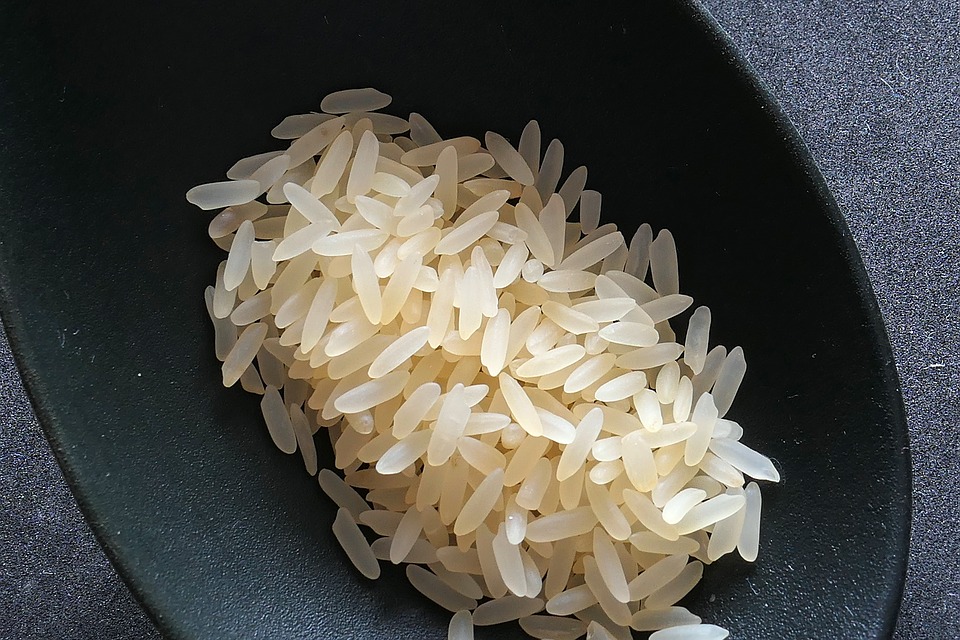 Rice 2294365 960 720