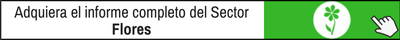 Adquiera El Informe Completo Del Sector Flores
