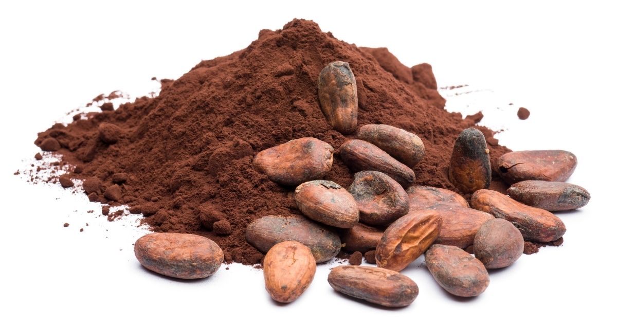 Cacao Polvo