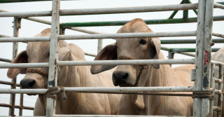 2dc4f7882e74861b4dce0179f92d59d3 S