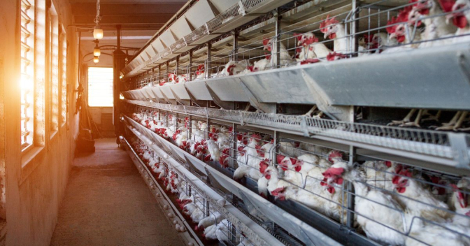 83816fa4bf8e926b06bf62b0695c0d1c L